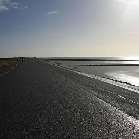 Kai-uwe Comfortable בורקום